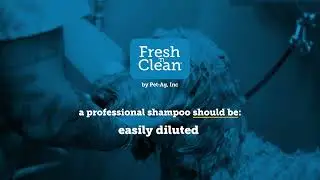 Pet-Ag Fresh 'n Clean Professional Shampoo