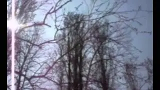 Весна в школе
