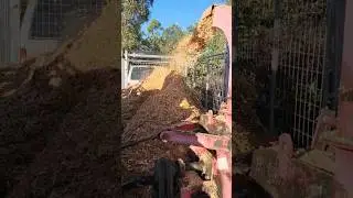 Wood chipping - Mulch production!