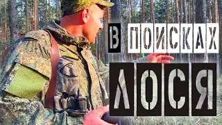 В ПОИСКАХ ЛОСЯ