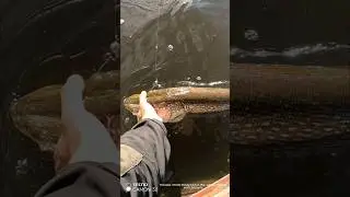 Наша жизнь - рыбалка