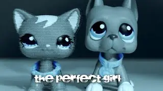 LPS MV The Perfect Girl