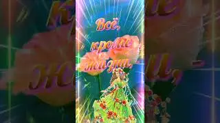 Солнечного, летнего утро, вам.
