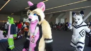 Anthrocon 2017 Fursuit Parade