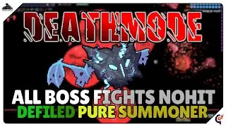 My Final Tribute to the Calamity Mod
