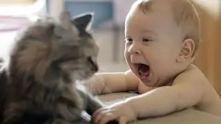 Коты, собаки и дети