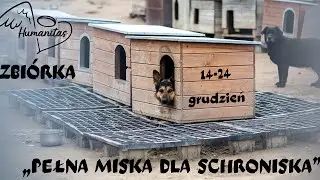 "Pełna miska dla schroniska"