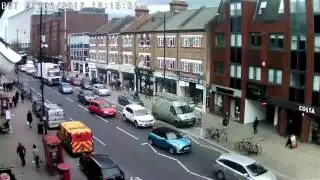 Crow caught on camera