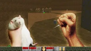 watching memes that are actually funny