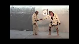 Aikido:  Leading Striking