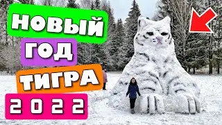 Маша Дарк поздравляет всех с Новым годом🎄 тигра 🐯 2022
