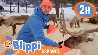¡Visitemos la Granja de Renos con Blippi! 🦌 | Blippi | Moonbug Kids - Parque en Vivo!