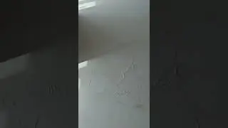 как потерять 600 тысяч на эбоксидном полу
