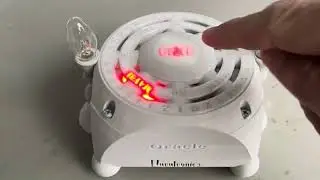 The Oracle Electronic Ouija