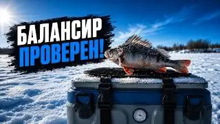 Зимняя рыбалка на балансир