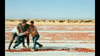 Hemme'nin öldüğü günlerden biri - fragman