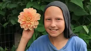 Dahlias Are Blooming! / Fun Gardening Tips / Tomato Canning Begins