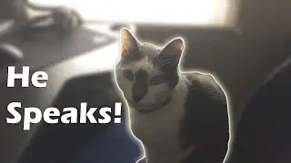 He Speaks!