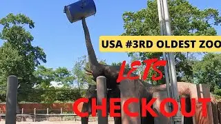 The third oldest zoo in the US -  Roger Williams Park Zoo | Providence Rhode Island