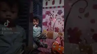 main dikasur