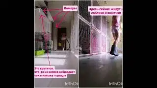 Зоогостиница Петрозаводск