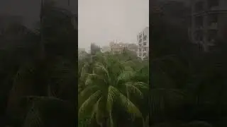 Raining all day long