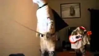 Куда то вдаль Часть вторая  немножко переделанная)