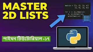 What are PYTHON 2D Lists?