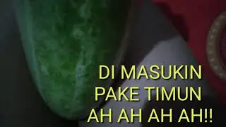 AH AH AH!! ONANI PAKE TIMUN