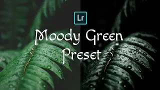 Moody Dark Green - Lightroom Mobile editing