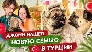 ДЖОНИ НАШЕЛ СЕБЕ НОВУЮ СЕМЬЮ В ТУРЦИИ 😩