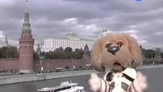 Путешествие вместе с Хрюшей Москва   столица нашей родины