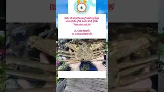 Đố vui 276 #dovui #braintest2 #funnyimages #shortvideo #funnymemes #braintest