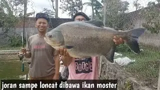 JORAN SAMPAY LONCAT D BAWA IKAN// MANCING BAWAL TER.UNIK SEPANJANG SEJARAH