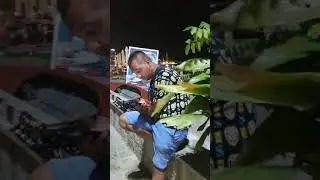 вечерняя Будва, Черногория