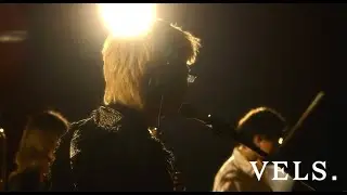 VELS. - Shelter [ Live Session ]