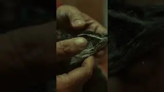 Watch the full documentary | I WILL FLY #birds #hospital #delhi #shorts
