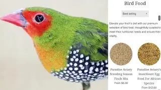 Unlock Your Finches Full Breeding Potential with Our Handmixed Seed Blends!