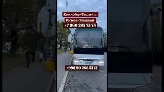 Краснодар-Ташкент автобус, Ростов-на-Дону ташкент автобус, Волгоград Ташкент Саратов Ташкент автобус
