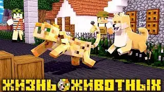 ЖИЗНЬ ЖИВОТНЫХ В МАЙНКРАФТЕ  [Серия 1]