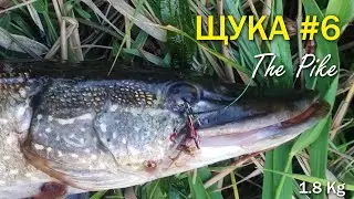 Ловля Щуки - POV Real Pike fishing #6