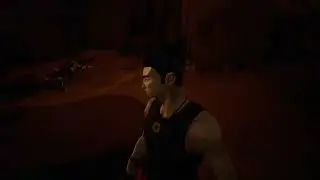 Sifu PC bug stuck :( plz fix