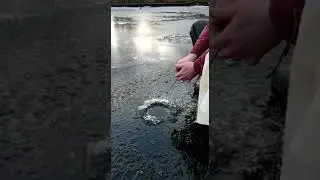 Рыбалка в Строгино в Москве по Первому льду 01.12.2019 ч.3