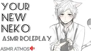 Your New Neko|ASMR roleplay🐱(Part 2)