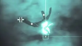NERVE - Akimbo