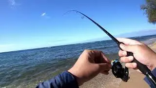 Testing Yamaga Blanks Blue Current 93tz with 3g Jighead