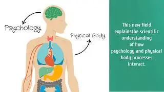 Dr. Chris Bjorndal - Psychoneuroimmunology