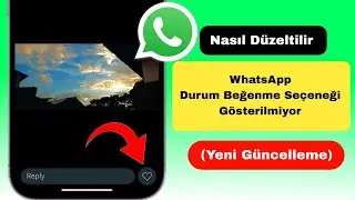 WhatsApp Durum Beğenme Seçeneği Yeni Güncelleme | WhatsApp Durumunu Göstermeyen Düğme Seçeneği Nası