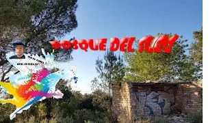 Bosque del Suro