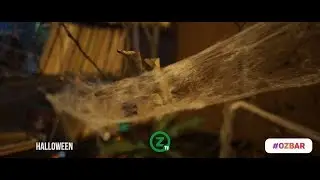 OZ TV 